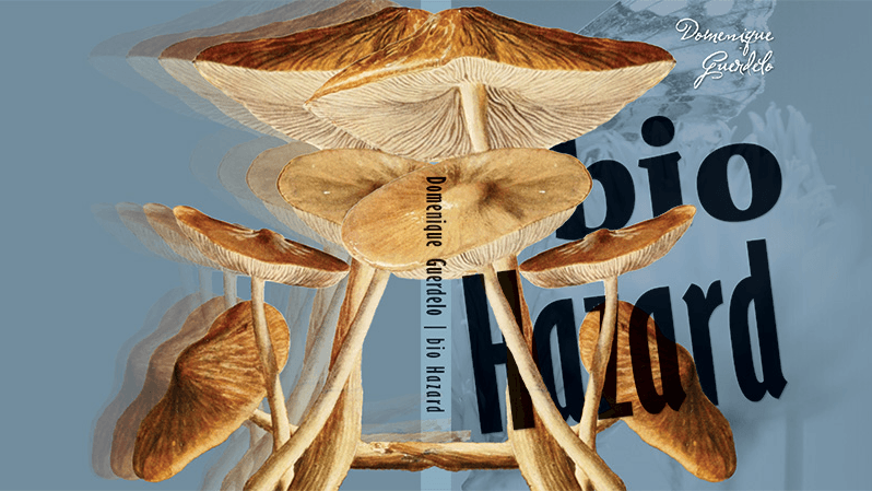 A cover of the book 'Bio hazard' with the picture of the mushrooms on.