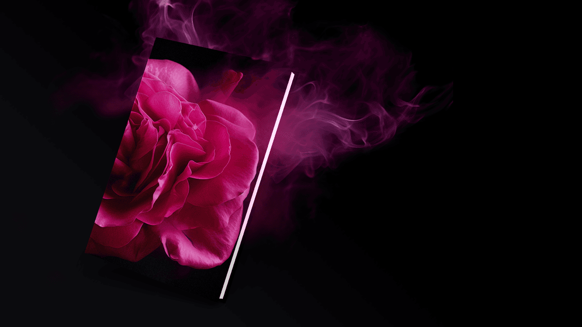 A book cover on a mysterious background.